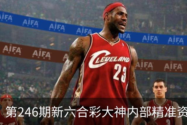 第246期新六合彩大神内部精准资料，今晚新门澳特码怎么买，第246期必中生肖三中三